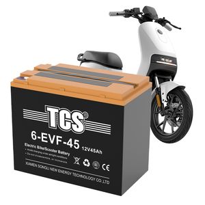 TCS Currency Electric Motor Battery for Most Electric E-Bike (6-EVF-45)