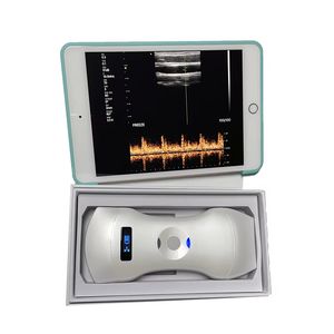 Portable 2D/3D/4D Ultrasound for Medical Diagnosis