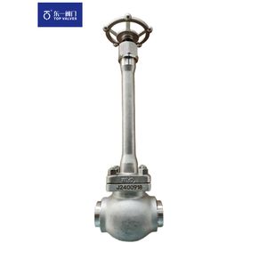 Durable LNG Low Temperature Globe Valve - Cryogenic Valve Stainless Steel Manual Through Way Inside Screw Stem 150lb 300lb -196° C