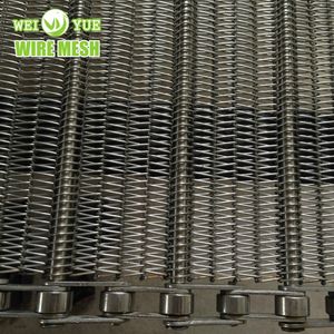 High Quality SS304 Stainless Steel Wire Ring Belt Eye Link Conveyor Wire Mesh