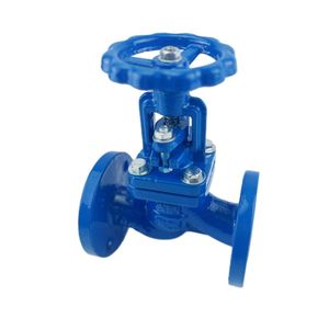 Wholesale High-Quality S Type Flange Globe Valve for Industrial Use