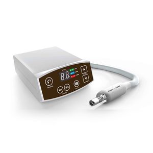 Electric Coxo C-Puma Dental Electrical Motors