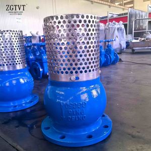 DIN Standard Ggg40/50 Foot Valve
