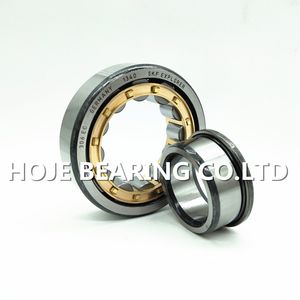 Em/Ecp/C3 305 Cylindrical Roller Bearings N Nj Nu Nup 303 304 305 306 307 308 309 310