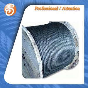 High-Quality Gi Carbon Galvanized Greased Plastic Steel Wire Ropes Rod Cables 8X19s+FC