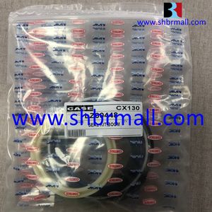 Hydraulic Boom/Arm/Bucket Cylinder Seal Kits for Excavator Case Cx130/Lz00448/Lz00450