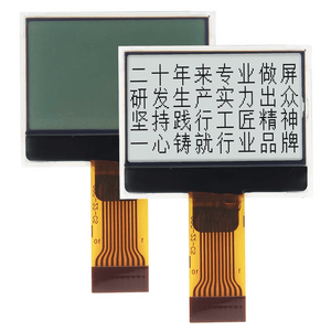 Wide Viewing Angle 12864 Monochrome DOT Matrix LCD Cog Display