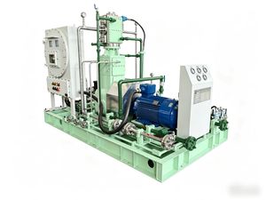 Advanced Biogas Compression System for Renewable Energy Projects