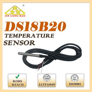 Rtd PT100 PT1000 Temperature Sensor with High Accuracy for Food Sensor Probe