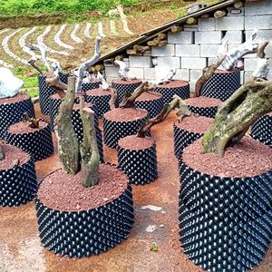 High-Quality Air Pruning Pot for Efficient Root Pruning & Plant Growth