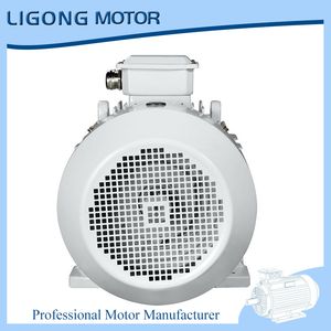 Ye5-80m2-6 0.55kw 933rpm Ye5 Asynchronous Electric Motor for Construction Machinery