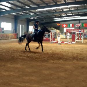 Premium Steel Riding Arena for Equestrian Training and Events
