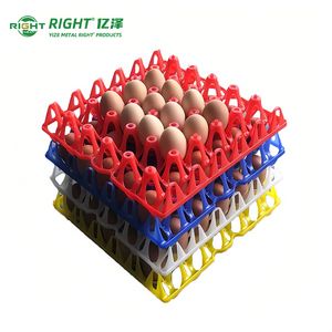 Plastic Transportation Egg Tray for 30 Chicken Eggs