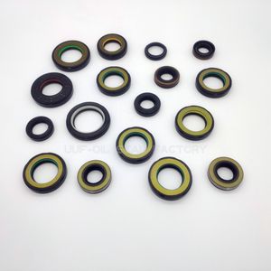 30*46*8.5 Power Steering Oil Seal HNBR High Pressure Rack Power Seal Scjy Cnb Gnb