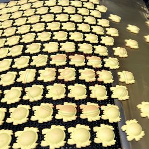 Hello Panda Biscuit Line Mini Bear Biscuit Machines Panda Biscuit Machine Production Line