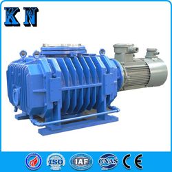 Roots Vacuum Pump for Vacuum Concentration and Vacuum Drying