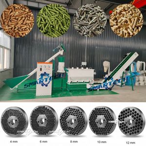 Large Scale Biomass Processing Pellet Mill Line for Efficiency
