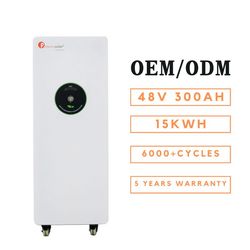 Felicity Power Wall BMS for Lithium Ion Batteries Pack 48 Volt Lithium Ion Battery Solar PV and Battery Storage