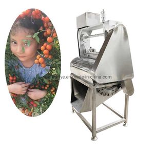 Jujube Plum Myrica Cherry Plum Pitting Olive Crabapple Hawthorn Pitting Machine