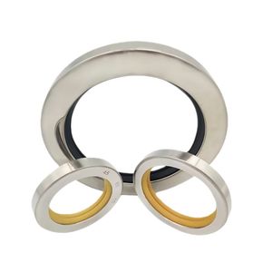 Advanced PTFE Oil Seal with Customization Carbon/Sic/Tc Rotating Parts Included Mechanical Seal