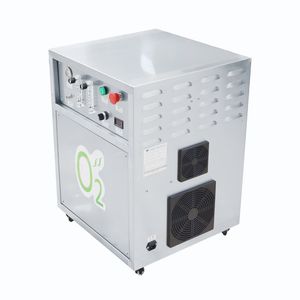 Psa Oxygen Production Equipment 20L High-Purity Industrial Oxygen Generator Machine