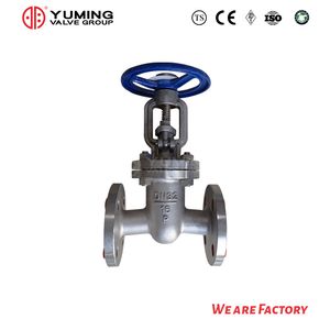 CF8/304 CF8m/316 Stainless Steel Flange Gate Valve