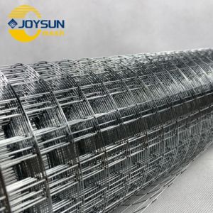 304/316 Small Size Stainless Steel Welded Wire Mesh Manufacturing