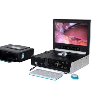 Medical Supply Laparoscope Otoscope Bronchoscope Ent Endoscope Camera