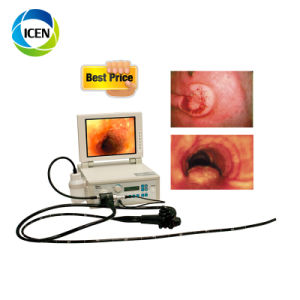 in-PV68 Portable Video Flexible Colonoscope Gastroscope Veterinary Endoscopes for Animals