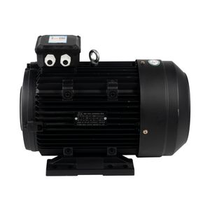 IE3-112M-4 Good High Efficiency Motor 3 Phase 50HP Induction Electric Motor Equipment