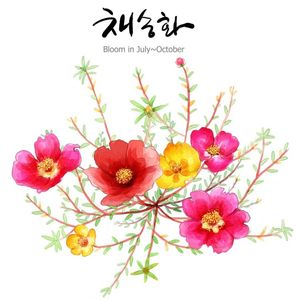Heat Transfer for Tissue Box Flower Design