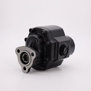 Factory Price Hyva Model Hydraulic Small Dump Hyraulic Gear Pump Motor with Low Price