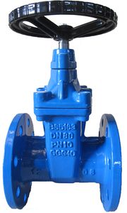 BS5163 Resilient Gate Valve in Ductile Iron