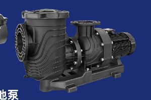High Performance Pump for Swimming Pool Circulation SPA Systems and Water Treatment