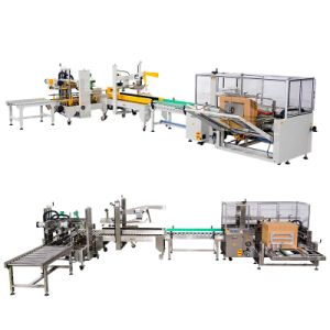 Automatic Tray Tape Box Molding/Former/Forming Carton Former Case Erector