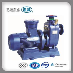Electric Fuel Transfer Pump Cyz-a Self Priming Metering Pumps