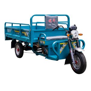 Hydraulic Brake Low Speed Quick Charging Electric Bicycle Tricycle for Logistics Transfer