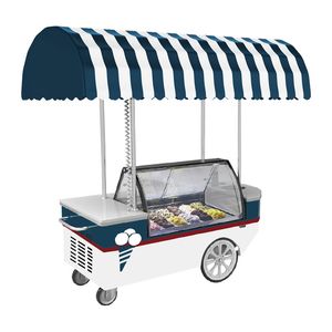 Mexican Electric Mobile Bike Cold Plate Ice Cream Vending Push Gelato Cart