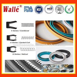 Merkel PTFE Forseal F01 Spring Seals