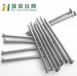 High Quality Wholesales Common Nail From China Factory