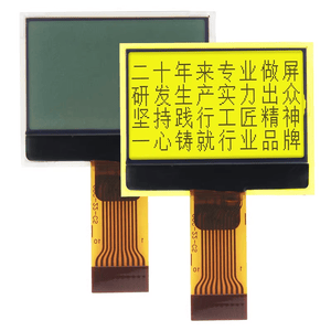 Data Visualization 12864 Monochrome DOT Matrix LCD Cog Display