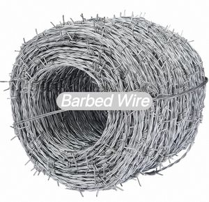 Galvanized Barbed Wire Wall Anti-Theft Fence