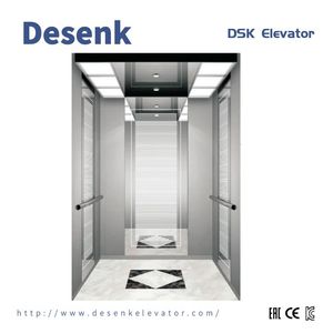 Desenk Passenger Lift Home Lift with Vvvf Lift Control