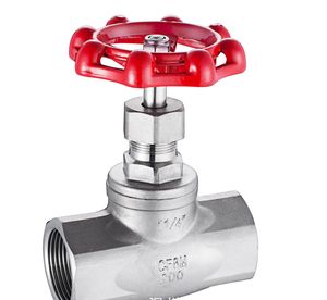 Investment Casting Stainless Steel CF8/CF8m Globe Valve