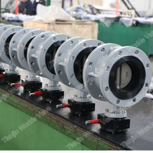 Awwa C207 Double Flange Butterfly Valve with Di/Wcb/Ss Body