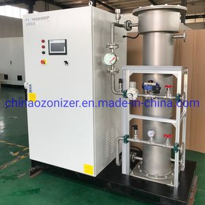 500g Professional Swimming Pool/SPA, Recreational Water Treatment Ozone Generator for Purifying, Disinfection and Killing Bacteria