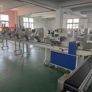 ZS-300G Automatic Gift Card Flow Packaging Machine