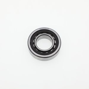 Durable Nu205 Ecp Cylindrical Roller Bearing Designed for Electric Motors