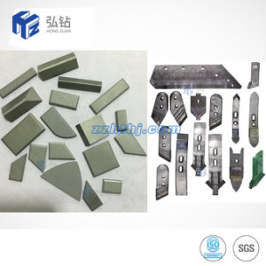 Manufacturer Agricultural Machinery Parts Tungsten Cultivator Point
