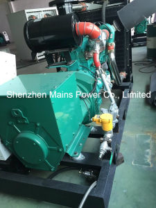 325kVA 260kw Continuous Power Cummins Gas Generator 325kVA Cummins Biogas Generator
